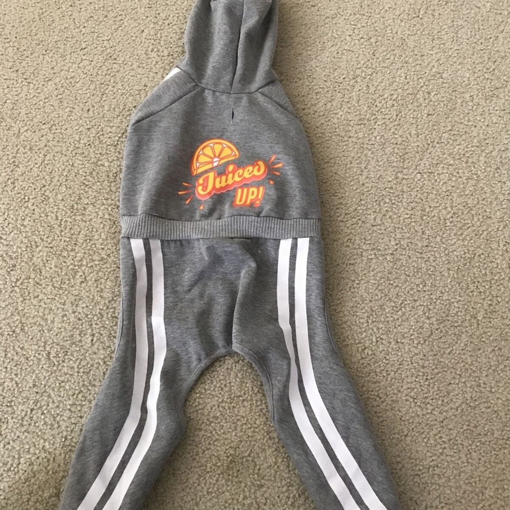 Top Paw Dog gray track suit "Juiced Up" - size medium